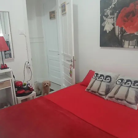 Frida Se Alquila Por * 拉科鲁尼亚